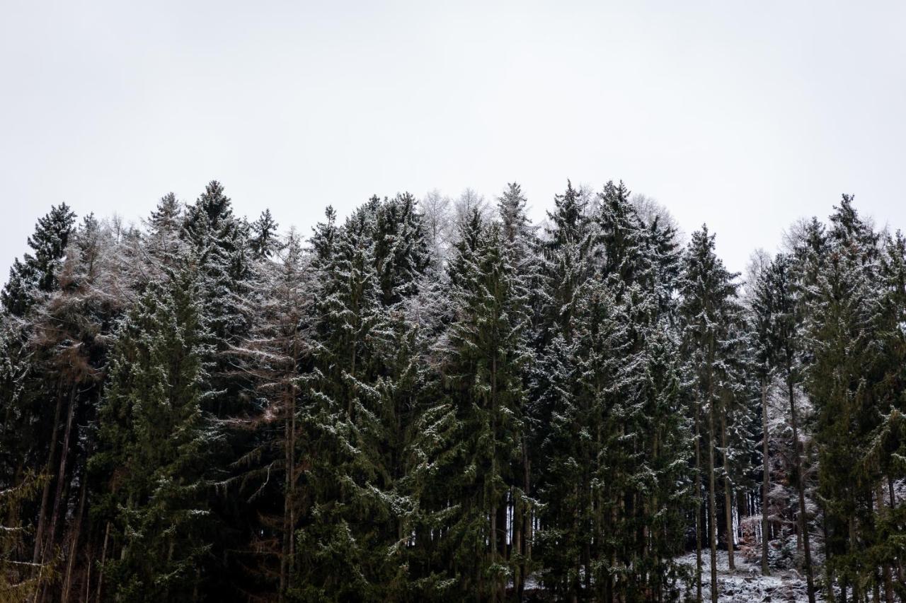 Hotel Tiefenhagen Sauerland Lennestadt Bagian luar foto