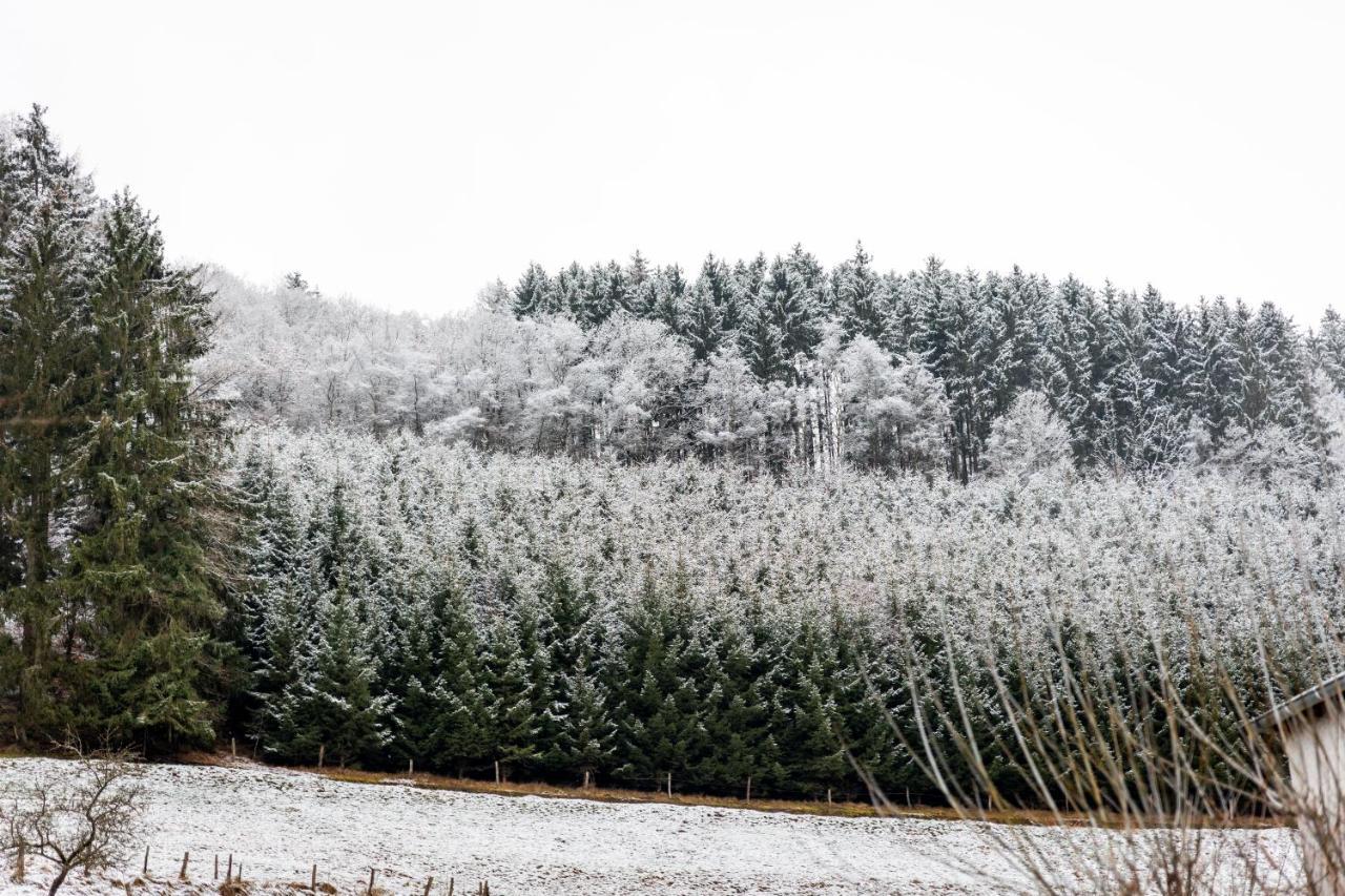 Hotel Tiefenhagen Sauerland Lennestadt Bagian luar foto
